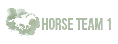 horseteam1.com